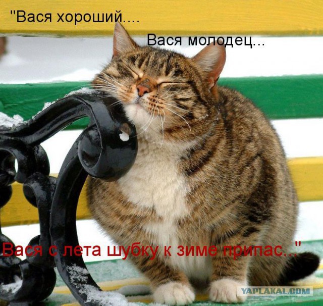 Абитура
