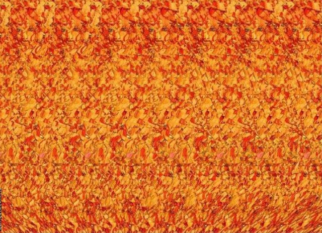 Если ты увидишь что спрятано на этих картинках, то ты очень проницательный человек