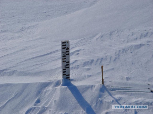 Самые сильные снегопады в истории