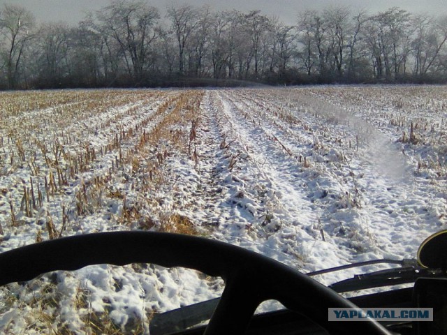 Командировка. В леса