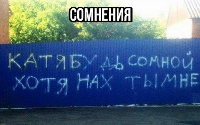 Скотсети и прочие интернеты 22.08.18