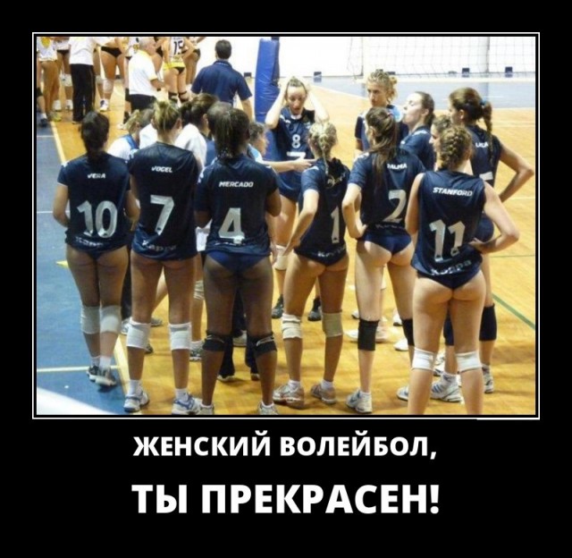 Приколы про волейбол в картинках