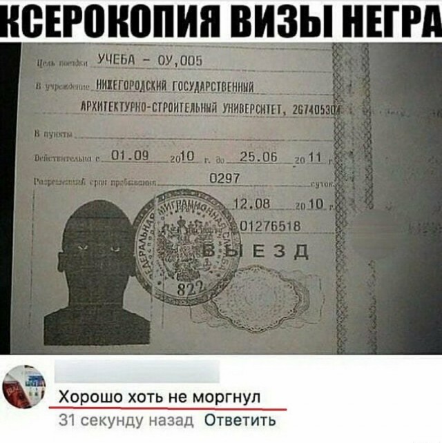 Анекдоты, соц-сети и картинки с надписями