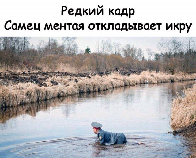 Анекдоты, истории и картинки с надписями