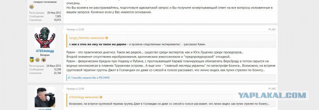 СМИ Нидерландов назвали фамилии "причастных" к крушению MH17 россиян
