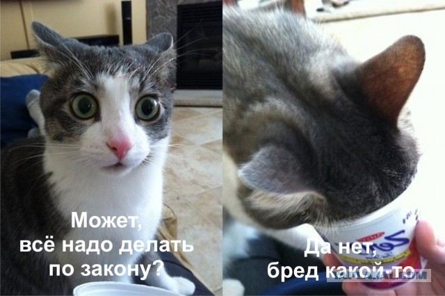 Почти 70% россиян уверены, что жестокие задержания на митингах необходимы