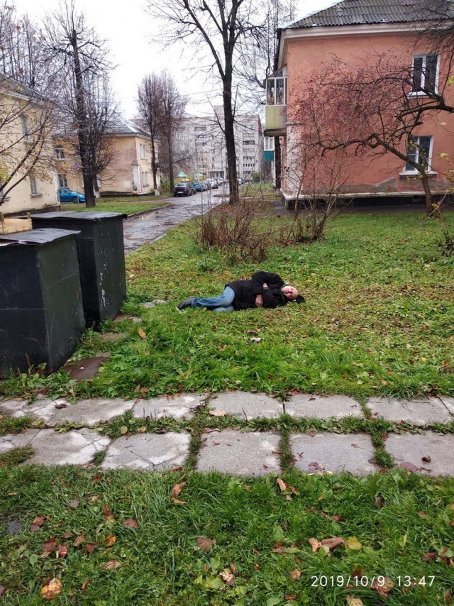 Скотсети и прочие интернеты 11.10.19