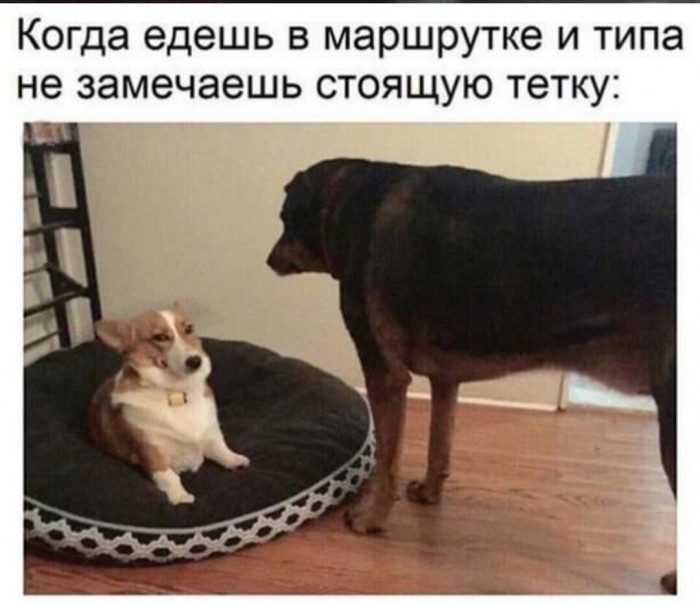 Бредзона 11.01.20
