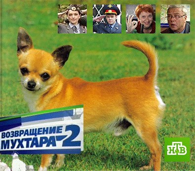 Фотожаба: ТВ программа