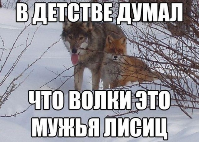 Чуток картинок 24.07.20