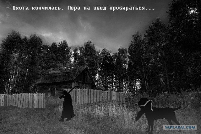 Битва фотожаберов: Лето кончилось