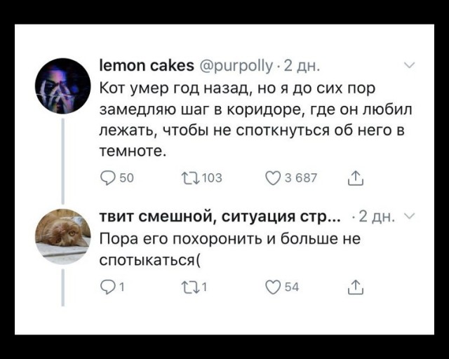 Картинки из сети 21.12.2020