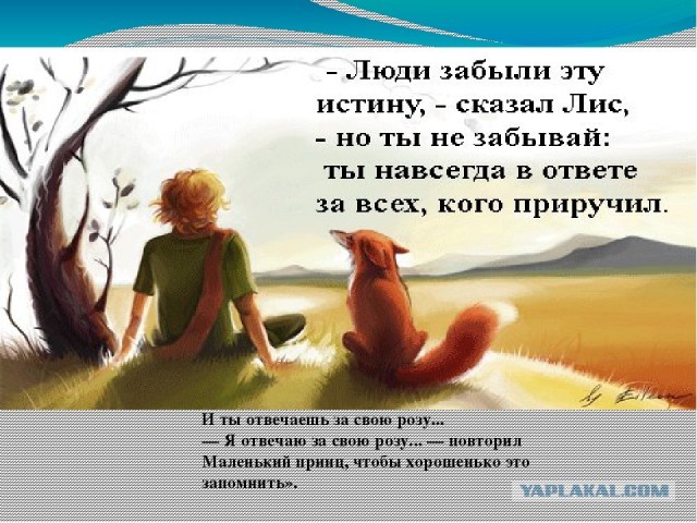 С виду - почти как люди
