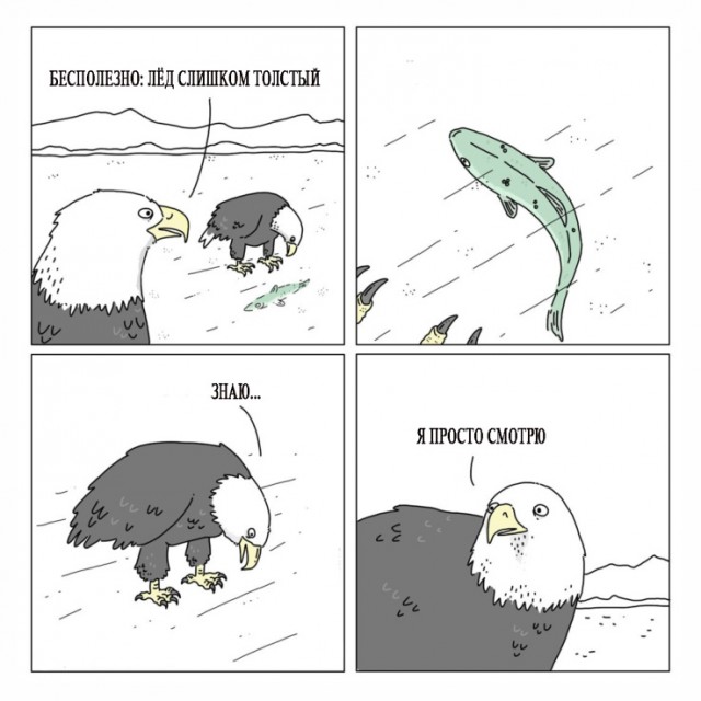 Так себе картинки 24.02.21