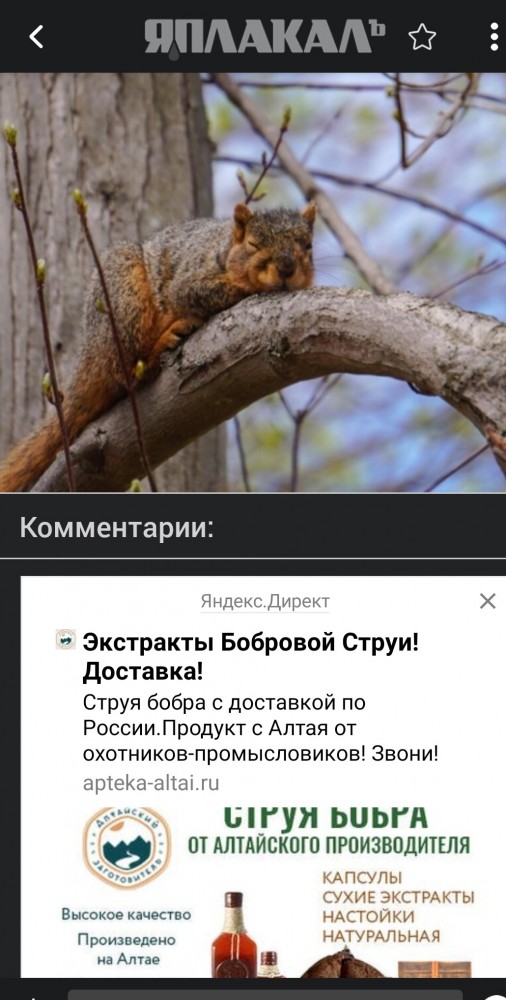 Картинки всякие 15.04.2021