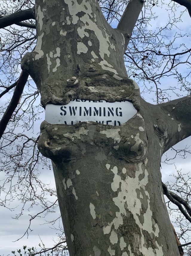 Калейдоскоп картинок