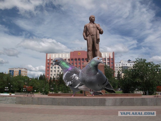 Монстры на улицах Питера.