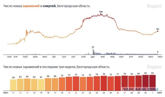 Пандемия. Коронавирус. Россия и мир. Последняя информация. Часть 22