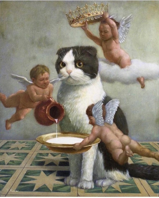 Так себе картинки 30.07.21