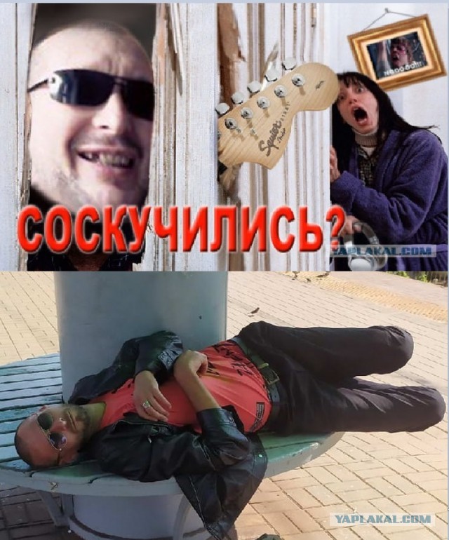 Скотсети и прочие интернеты 26.08.2021