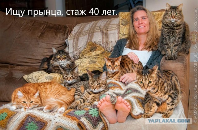 Нужна кому?