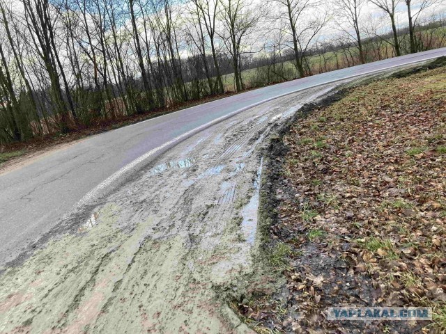 Пи*оры среди дальнобоев и прочие у*бки на дороге