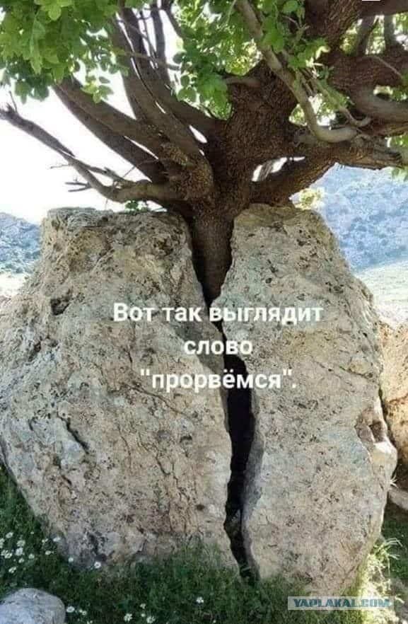В новом шансе для нашей экономики, обязательно нужно учесть этот опыт
