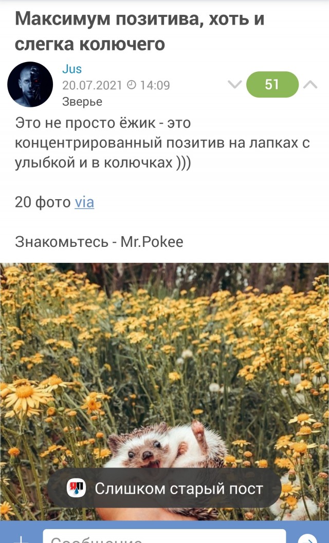 Максимум позитива, хоть и слегка колючего