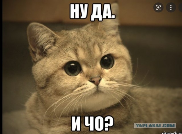 Доллар по шисят и меньше. Новая реальность