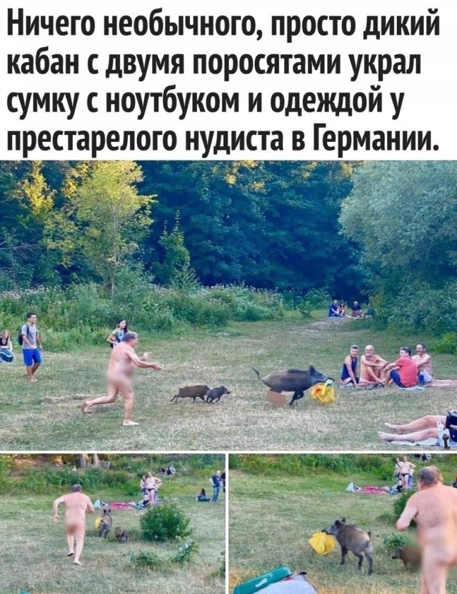 Так себе картинки 11.06.22
