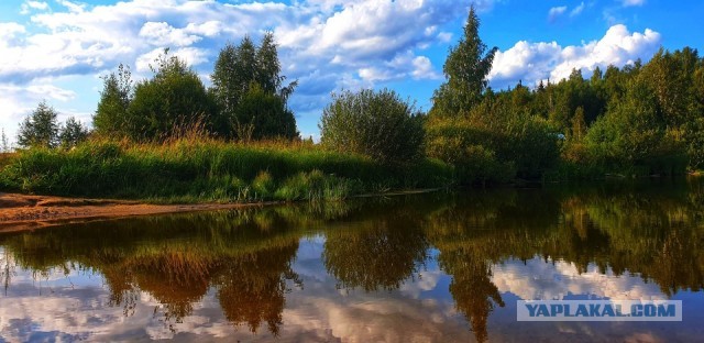 Просто любительские фото