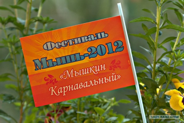 Нескучный выходной