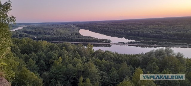 Доброе утро, рыбаки