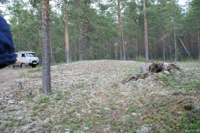 Экспедиция Тамбов-Карелия (бесов нос).