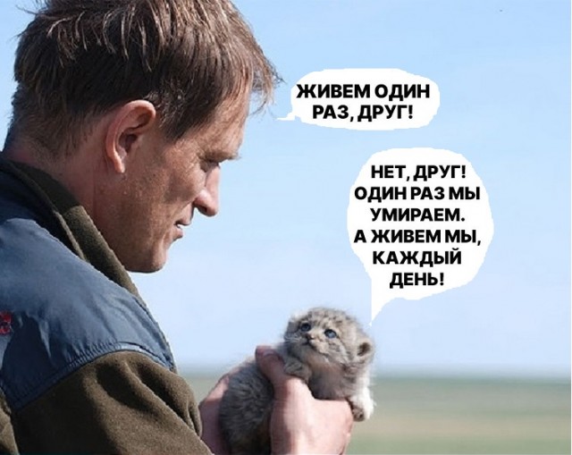 Картинки со смыслом