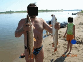 Река Ахтуба. Сентябрь. 2012г.