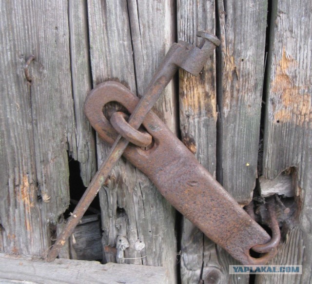 Находка на  хуторе