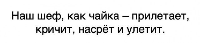 Что он задумал?!