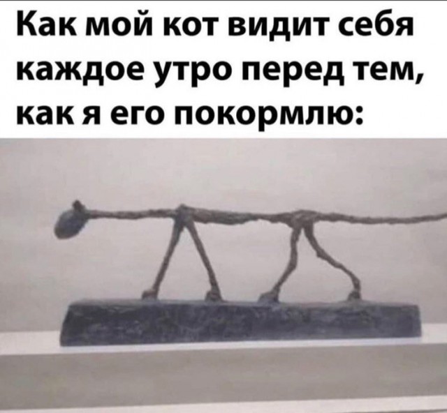 Так себе картинки 25.12.22