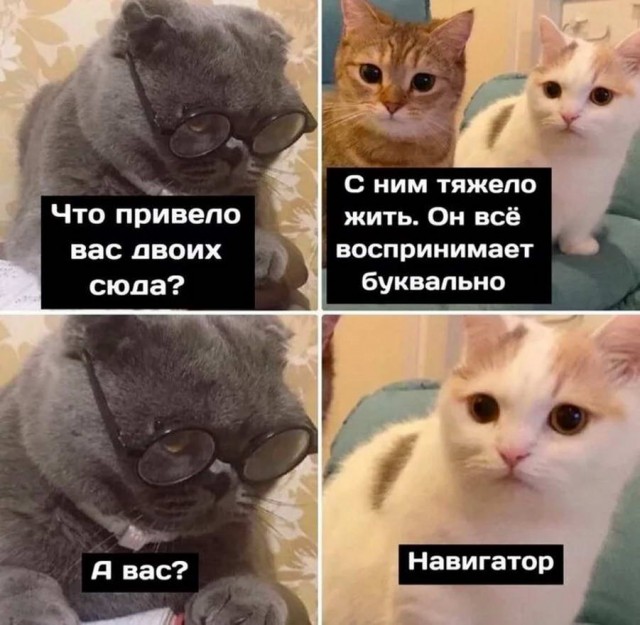 Немного картинок для настроения - 129