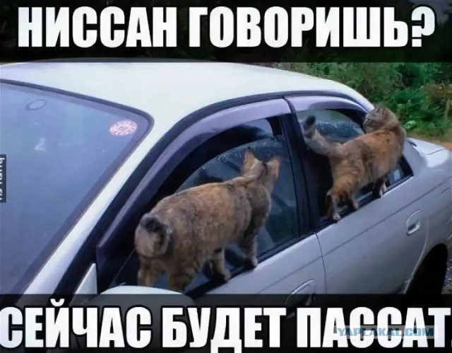 Это инсталляция или перформанс?