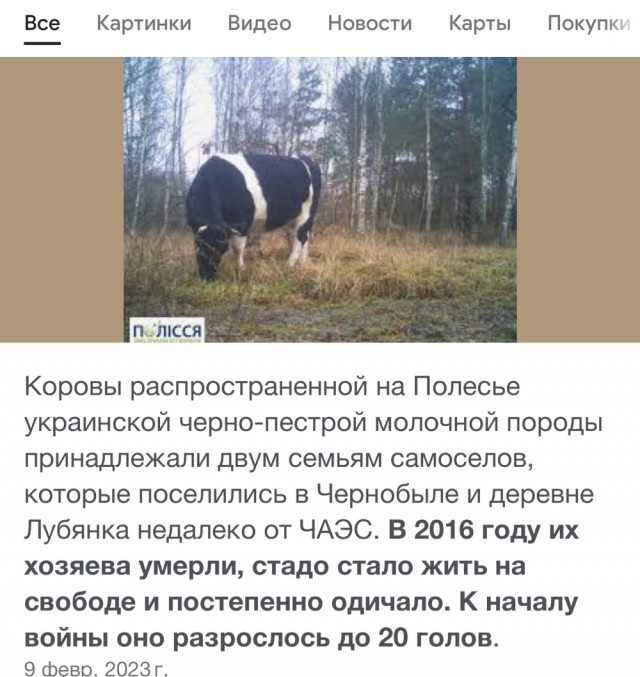 Вторжения Батыя не было, потому что коням монголов нечего есть