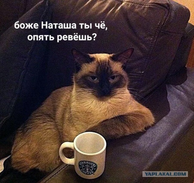 Зае*али гнобить и позорить имя Наташа