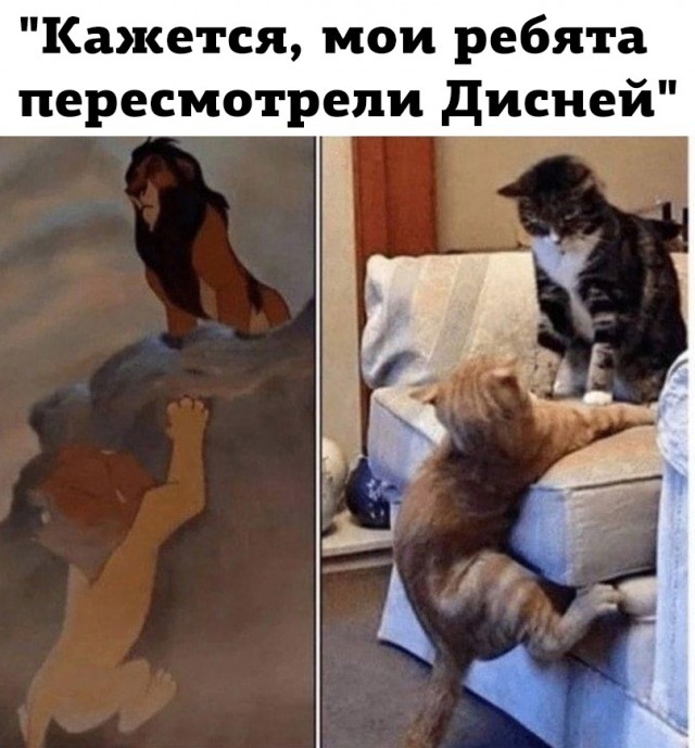 Так себе картинки 08.07.23