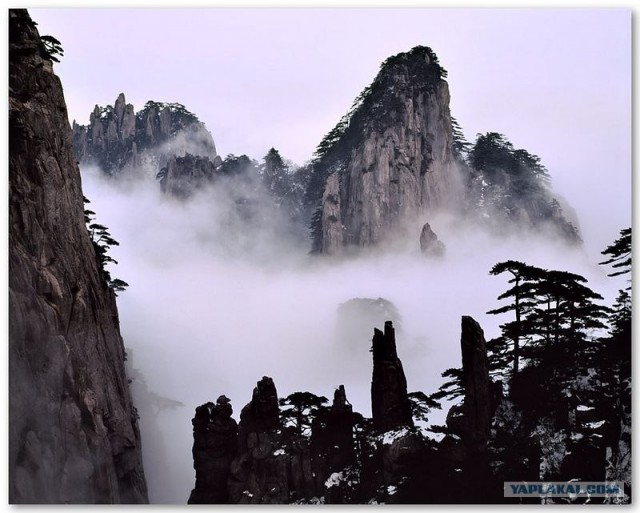 Фотограф Leping Zha