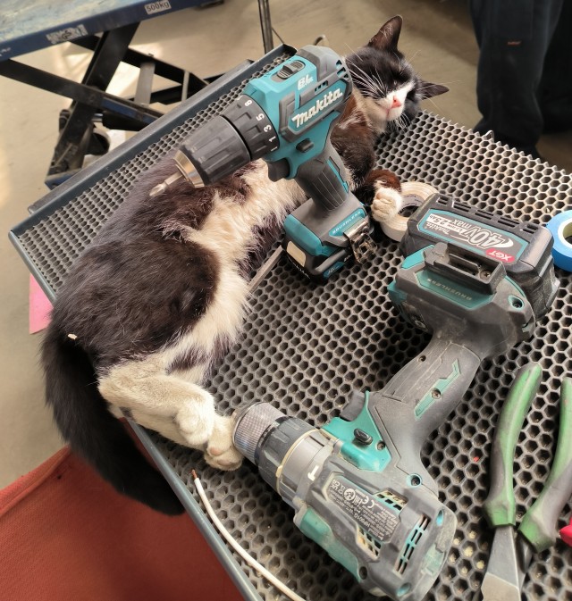 Коты на производстве