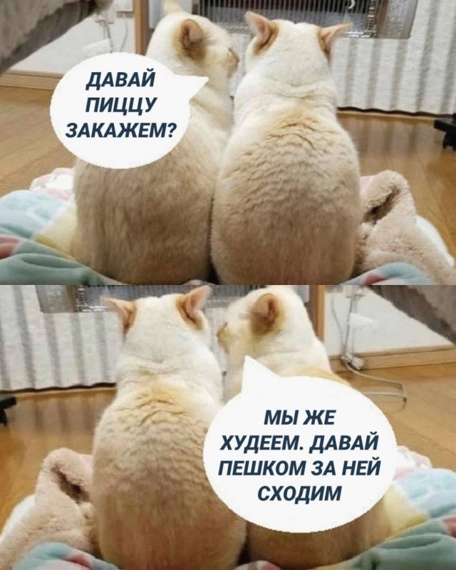 Отряд быстрого деградирования