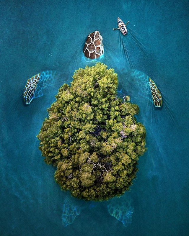 Литературный конкурс "Драма"