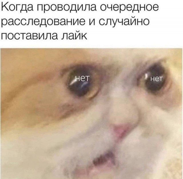 Всего понемногу. От 02.04.24