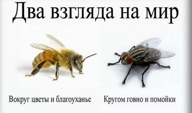 Доброе дело два века живёт...